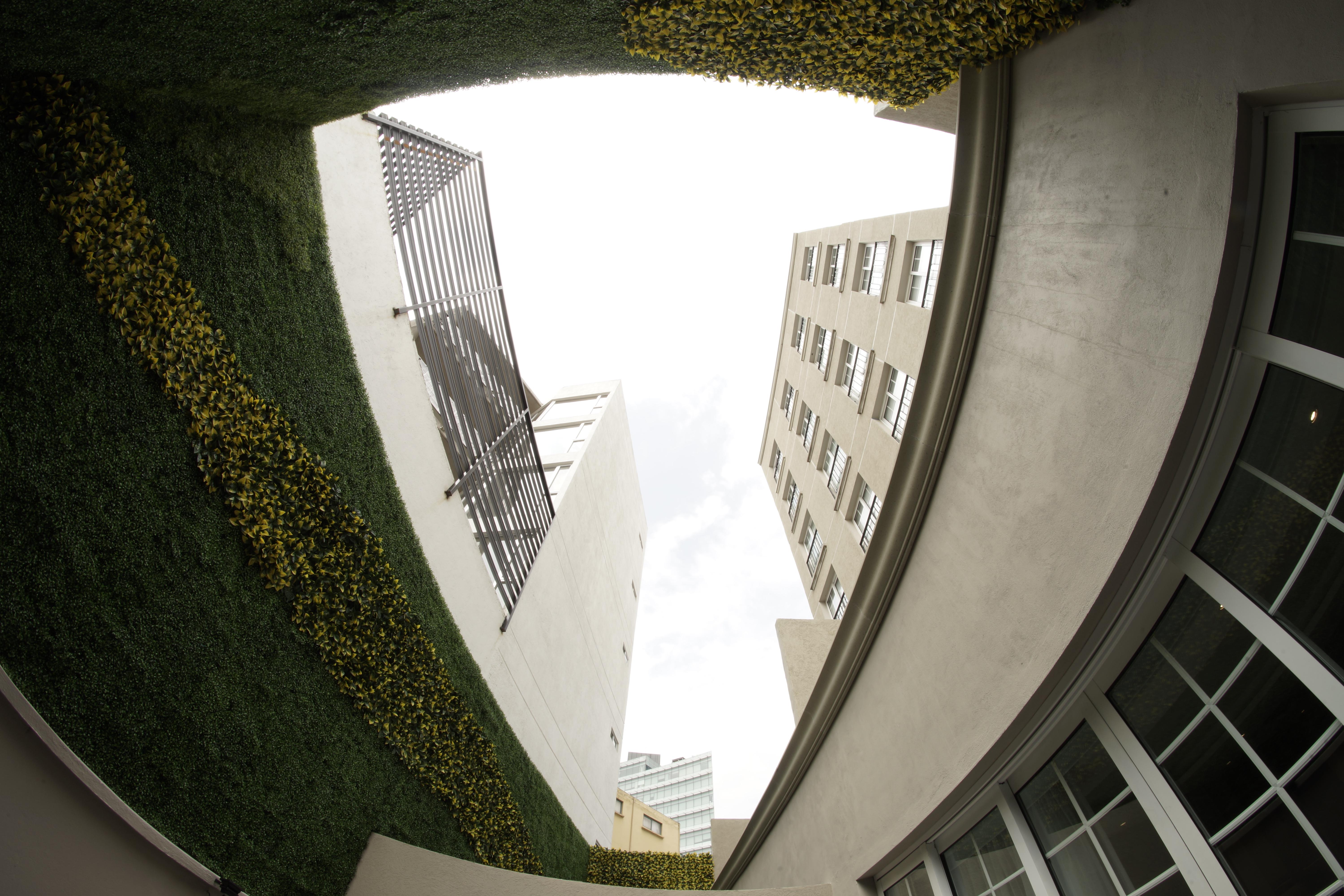 Isaaya Hotel Boutique By Wtc Μεξικό Εξωτερικό φωτογραφία