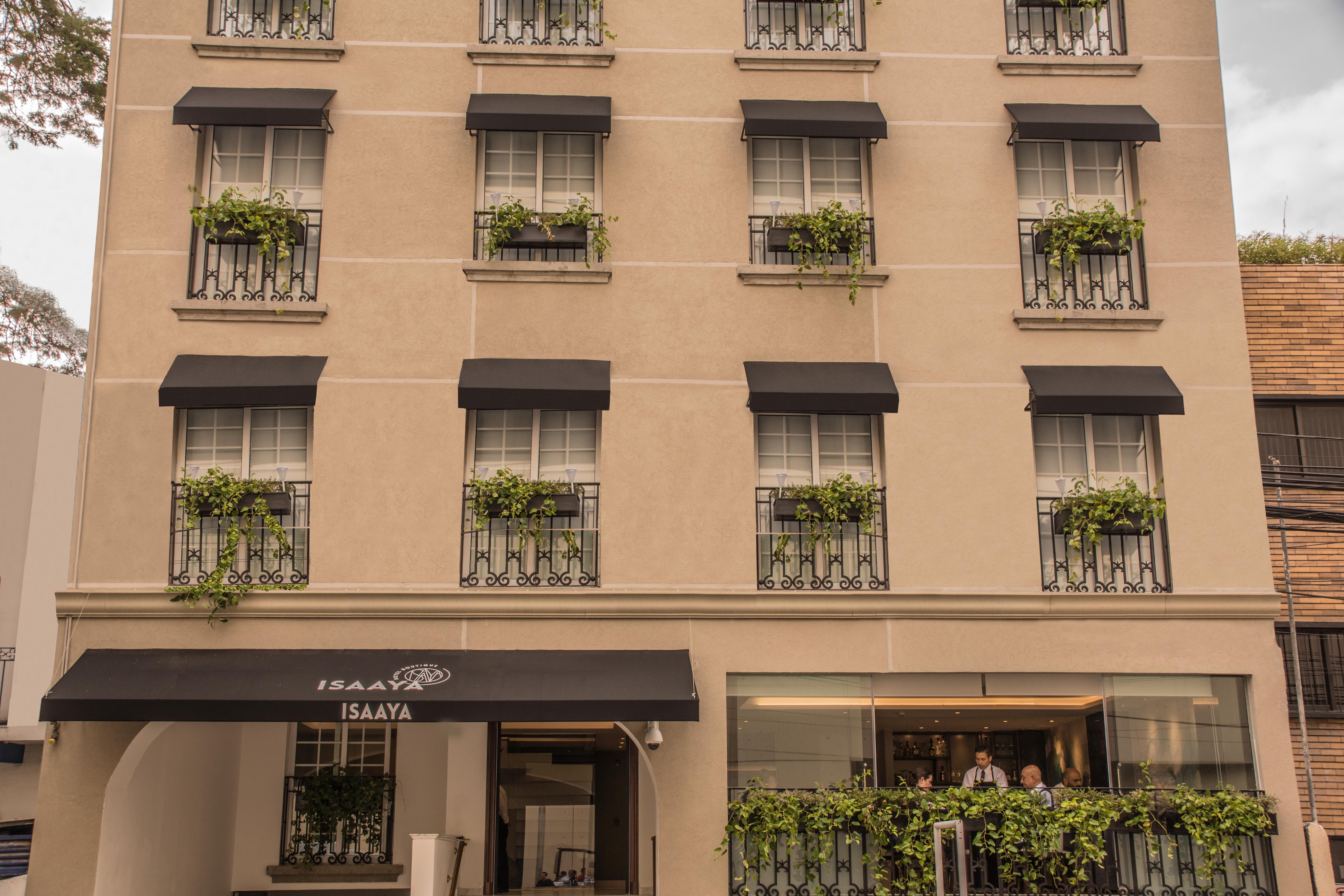 Isaaya Hotel Boutique By Wtc Μεξικό Εξωτερικό φωτογραφία